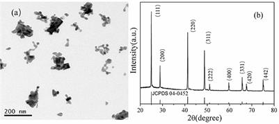 Ligand-Free BaF2: Nd Nanoparticles With Low Cytotoxicity, High Stability and Enhanced Fluorescence Intensity as NIR-II Imaging Probes